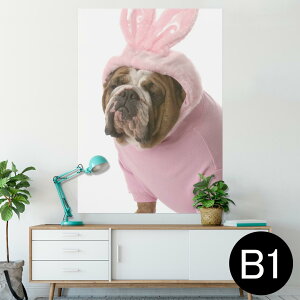 |X^[ EH[XebJ[ V[XebJ[  728×1030mm B1 ʐ^ tHg  CeA  @ wall sticker poster 001083 @