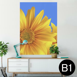 |X^[ EH[XebJ[ V[XebJ[  728×1030mm B1 ʐ^ tHg  CeA  @ wall sticker poster 001397 Ђ܂