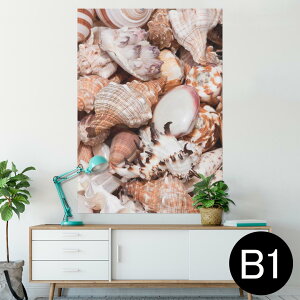 |X^[ EH[XebJ[ V[XebJ[  728×1030mm B1 ʐ^ tHg  CeA  @ wall sticker poster 002925 C@Lk@ʐ^