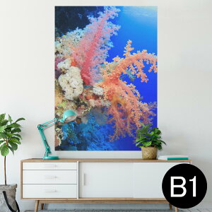 |X^[ EH[XebJ[ V[XebJ[  728×1030mm B1 ʐ^ tHg  CeA  @ wall sticker poster 003341 C@ʐ^@iF@i