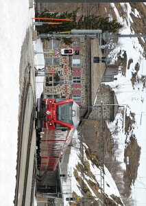 |X^[ EH[XebJ[ V[XebJ[  728×1030mm B1 ʐ^ tHg  CeA  @ wall sticker poster 022971 dԁ@ʐ^@i