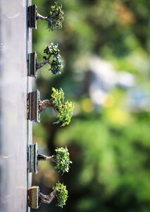 |X^[ EH[XebJ[ V[XebJ[  728×1030mm B1 ʐ^ tHg  CeA  @ wall sticker poster 023001 ~́@A@ʐ^