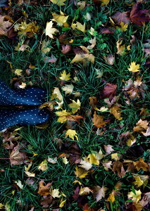 �|�X�^�[ �E�H�[���X�e�b�J�[ �V�[�����X�e�b�J�[ ���� 728×1030mm B1 �ʐ^ �t�H�g �� �C���e���A ������� �@�������� wall sticker poster 023259 �t���ρ@�A���@�H