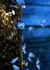 |X^[ EH[XebJ[ V[XebJ[  728×1030mm B1 ʐ^ tHg  CeA  @ wall sticker poster 023261 ̂@X