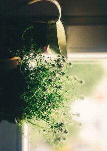 �|�X�^�[ �E�H�[���X�e�b�J�[ �V�[�����X�e�b�J�[ ���� 728×1030mm B1 �ʐ^ �t�H�g �� �C���e���A ������� �@�������� wall sticker poster 023318 �ԁ@�A���@�ʐ^