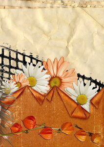 |X^[ EH[XebJ[ V[XebJ[  728×1030mm B1 ʐ^ tHg  CeA  @ wall sticker poster 023339 ԁ@t[@@͗l