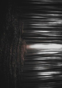 �|�X�^�[ �E�H�[���X�e�b�J�[ �V�[�����X�e�b�J�[ ���� 728×1030mm B1 �ʐ^ �t�H�g �� �C���e���A ������� �@�������� wall sticker poster 023372 �ÈŁ@��