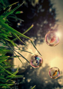 |X^[ EH[XebJ[ V[XebJ[  728×1030mm B1 ʐ^ tHg  CeA  @ wall sticker poster 023404 ڂʁ@iF