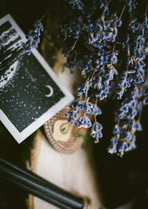 �|�X�^�[ �E�H�[���X�e�b�J�[ �V�[�����X�e�b�J�[ ���� 728×1030mm B1 �ʐ^ �t�H�g �� �C���e���A ������� �@�������� wall sticker poster 023435 �ԁ@�A���@�ʐ^