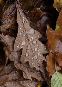 �|�X�^�[ �E�H�[���X�e�b�J�[ �V�[�����X�e�b�J�[ ���� 728×1030mm B1 �ʐ^ �t�H�g �� �C���e���A ������� �@�������� wall sticker poster 023509 �t���ρ@�A���@�H