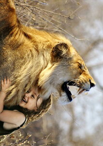 �|�X�^�[ �E�H�[���X�e�b�J�[ �V�[�����X�e�b�J�[ ���� 728×1030mm B1 �ʐ^ �t�H�g �� �C���e���A ������� �@�������� wall sticker poster 023527 ���C�I���@�l���@����