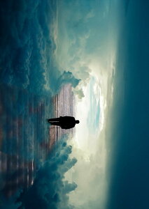 �|�X�^�[ �E�H�[���X�e�b�J�[ �V�[�����X�e�b�J�[ ���� 728×1030mm B1 �ʐ^ �t�H�g �� �C���e���A ������� �@�������� wall sticker poster 023548 �l���@�V��