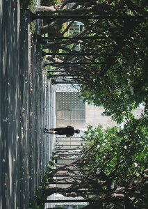 |X^[ EH[XebJ[ V[XebJ[  728×1030mm B1 ʐ^ tHg  CeA  @ wall sticker poster 023551 i@^@