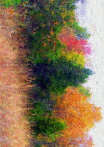 |X^[ EH[XebJ[ V[XebJ[  728×1030mm B1 ʐ^ tHg  CeA  @ wall sticker poster 023639 G@X