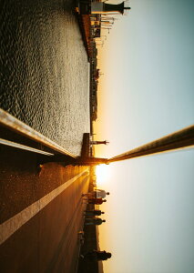 |X^[ EH[XebJ[ V[XebJ[  728×1030mm B1 ʐ^ tHg  CeA  @ wall sticker poster 023859 i@[@ʐ^