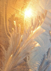 �|�X�^�[ �E�H�[���X�e�b�J�[ �V�[�����X�e�b�J�[ ���� 728×1030mm B1 �ʐ^ �t�H�g �� �C���e���A ������� �@�������� wall sticker poster 023976 �H���@�[��