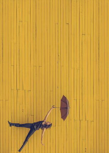 �|�X�^�[ �E�H�[���X�e�b�J�[ �V�[�����X�e�b�J�[ ���� 728×1030mm B1 �ʐ^ �t�H�g �� �C���e���A ������� �@�������� wall sticker poster 023979 �P�@�l���@����