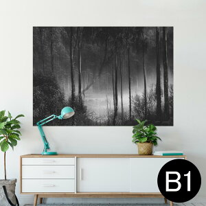 |X^[ EH[XebJ[ V[XebJ[  728×1030mm B1 ʐ^ tHg  CeA  @ wall sticker poster 025587 Xс@mN@