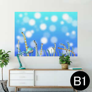 |X^[ EH[XebJ[ V[XebJ[  728×1030mm B1 ʐ^ tHg  CeA  @ wall sticker poster 025640 `AiS@C@