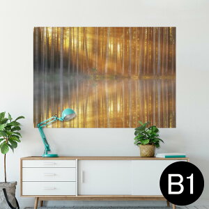 |X^[ EH[XebJ[ V[XebJ[  728×1030mm B1 ʐ^ tHg  CeA  @ wall sticker poster 025679 Xс@R@