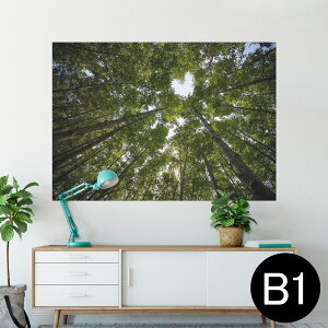 |X^[ EH[XebJ[ V[XebJ[  728×1030mm B1 ʐ^ tHg  CeA  @ wall sticker poster 025739 R@Xс@؁@n[g