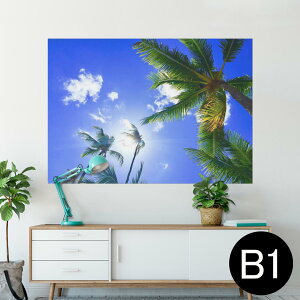 |X^[ EH[XebJ[ V[XebJ[  728×1030mm B1 ʐ^ tHg  CeA  @ wall sticker poster 025803 V̖؁@R@t@