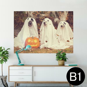 |X^[ EH[XebJ[ V[XebJ[  728×1030mm B1 ʐ^ tHg  CeA  @ wall sticker poster 025809 nEB@ڂ@Halloween@@