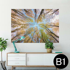 |X^[ EH[XebJ[ V[XebJ[  728×1030mm B1 ʐ^ tHg  CeA  @ wall sticker poster 025927 Xс@؁@R