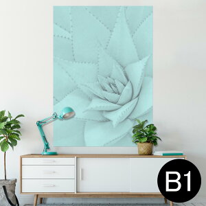 |X^[ EH[XebJ[ V[XebJ[  728×1030mm B1 ʐ^ tHg  CeA  @ wall sticker poster 025929 A@AG