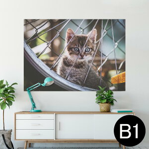 �|�X�^�[ �E�H�[���X�e�b�J�[ �V�[�����X�e�b�J�[ ���� 728×1030mm B1 �ʐ^ �t�H�g �� �C���e���A ������� �@�������� wall sticker poster 025949 �����@�L�@�l�R�@�ԗ�