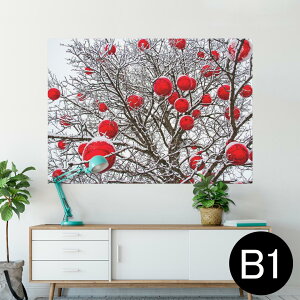 |X^[ EH[XebJ[ V[XebJ[  728×1030mm B1 ʐ^ tHg  CeA  @ wall sticker poster 025960 NX}X@@R@~