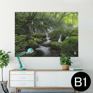 |X^[ EH[XebJ[ V[XebJ[  728×1030mm B1 ʐ^ tHg  CeA  @ wall sticker poster 025978 Xс@@R@