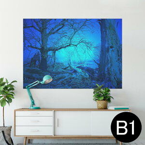 |X^[ EH[XebJ[ V[XebJ[  728×1030mm B1 ʐ^ tHg  CeA  @ wall sticker poster 026062 Xс@i