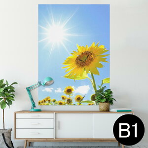 |X^[ EH[XebJ[ V[XebJ[  728×1030mm B1 ʐ^ tHg  CeA  @ wall sticker poster 005089 Ђ܂@ʐ^@z