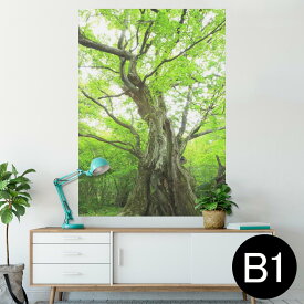 楽天市場 森 ウォールステッカーの通販