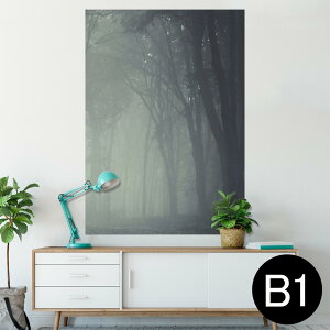 |X^[ EH[XebJ[ V[XebJ[  728×1030mm B1 ʐ^ tHg  CeA  @ wall sticker poster 005899 ʐ^@X@