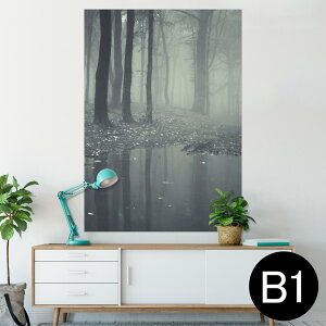 |X^[ EH[XebJ[ V[XebJ[  728×1030mm B1 ʐ^ tHg  CeA  @ wall sticker poster 005900 ʐ^@X@