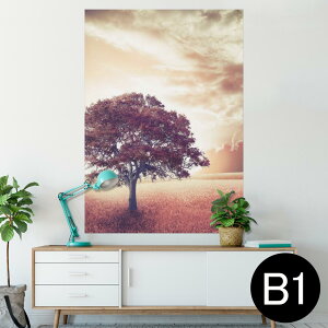 �|�X�^�[ �E�H�[���X�e�b�J�[ �V�[�����X�e�b�J�[ ���� 728×1030mm B1 �ʐ^ �t�H�g �� �C���e���A ������� �@�������� wall sticker poster 006618 �ʐ^�@��@����