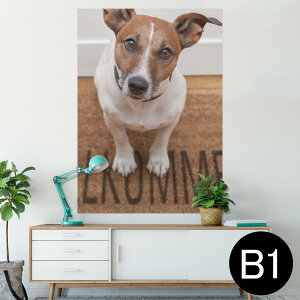 �|�X�^�[ �E�H�[���X�e�b�J�[ �V�[�����X�e�b�J�[ ���� 728×1030mm B1 �ʐ^ �t�H�g �� �C���e���A ������� �@�������� wall sticker poster 007766 �ʐ^�@���@���@�z���C�g