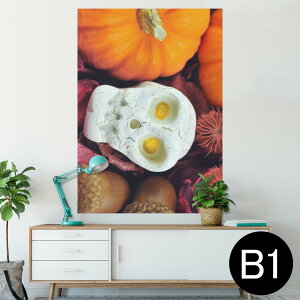 |X^[ EH[XebJ[ V[XebJ[  728×1030mm B1 ʐ^ tHg  CeA  @ wall sticker poster 007956 ʐ^@J{`@nEB@[@hN