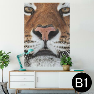 �|�X�^�[ �E�H�[���X�e�b�J�[ �V�[�����X�e�b�J�[ ���� 728×1030mm B1 �ʐ^ �t�H�g �� �C���e���A ������� �@�������� wall sticker poster 008090 �A�j�}�� �ʐ^�@�g���@�Ձ@����