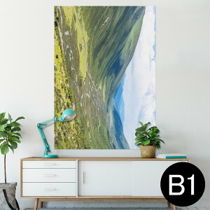 |X^[ EH[XebJ[ V[XebJ[  728×1030mm B1 ʐ^ tHg  CeA  @ wall sticker poster 009763 i@iF@ʐ^