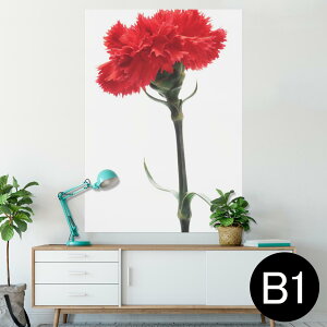 ポスター ウォールステッカー シール式ステッカー 飾り 728×1030mm B1 写真 フォト 壁 インテリア おしゃれ  剥がせる wall sticker poster 012928 母の日 カーネーション 花