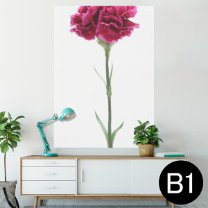 |X^[ EH[XebJ[ V[XebJ[  728×1030mm B1 ʐ^ tHg  CeA  @ wall sticker poster 012933 ̓@J[l[V@