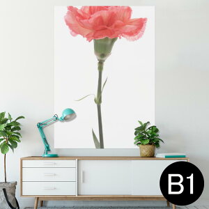 ポスター ウォールステッカー シール式ステッカー 飾り 728×1030mm B1 写真 フォト 壁 インテリア おしゃれ  剥がせる wall sticker poster 012935 母の日 カーネーション 花