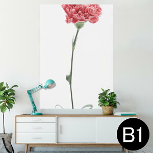 |X^[ EH[XebJ[ V[XebJ[  728×1030mm B1 ʐ^ tHg  CeA  @ wall sticker poster 012937 ̓@J[l[V@