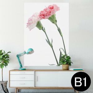 |X^[ EH[XebJ[ V[XebJ[  728×1030mm B1 ʐ^ tHg  CeA  @ wall sticker poster 012938 ̓@J[l[V@