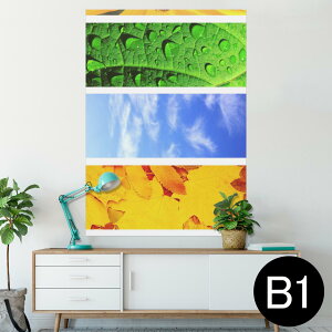 |X^[ EH[XebJ[ V[XebJ[  728×1030mm B1 ʐ^ tHg  CeA  @ wall sticker poster 014084 ā@Ђ܂@