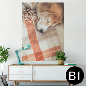 �|�X�^�[ �E�H�[���X�e�b�J�[ �V�[�����X�e�b�J�[ ���� 728×1030mm B1 �ʐ^ �t�H�g �� �C���e���A ������� �@�������� wall sticker poster 014838 ���@���Q