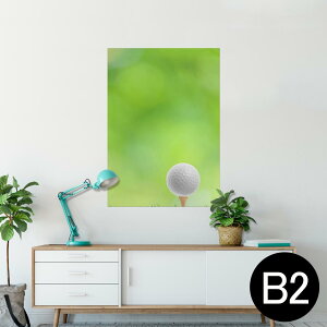 |X^[ EH[XebJ[ V[XebJ[  515×728mm B2 ʐ^ tHg  CeA   wall sticker poster 000218 St@Vbg@Ő